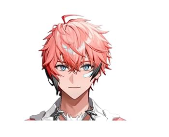 Amazon.co.jp: 実物撮影 コスプレ用 vtuber 赤城ウェン コスプレ